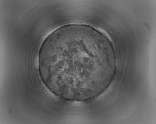 X0000113960839200909251358