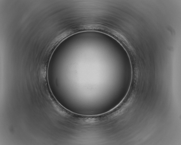 X0000113960841200909251358