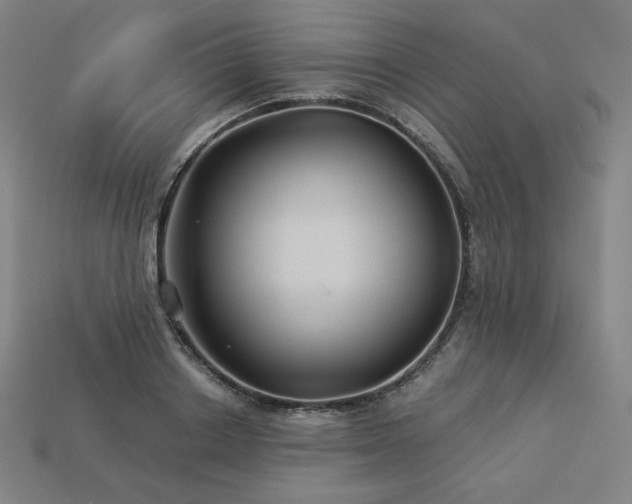 X0000113960842200909251358