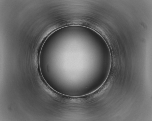 X0000113960843200909251358