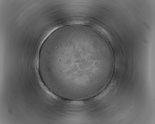X0000113960844200909251358