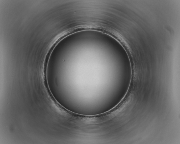 X0000113960845200909251358