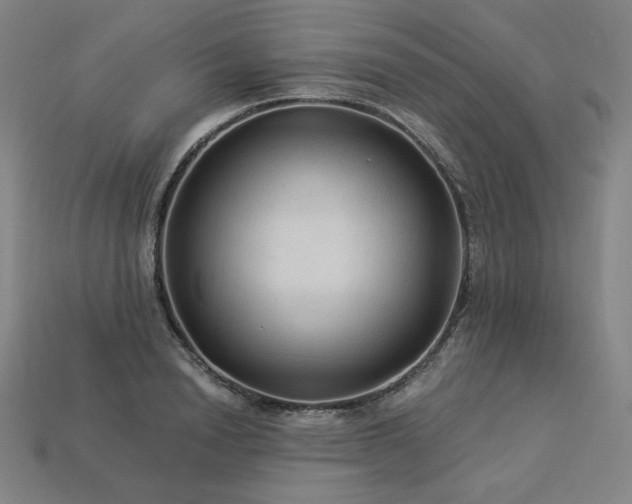 X0000113960846200909251358
