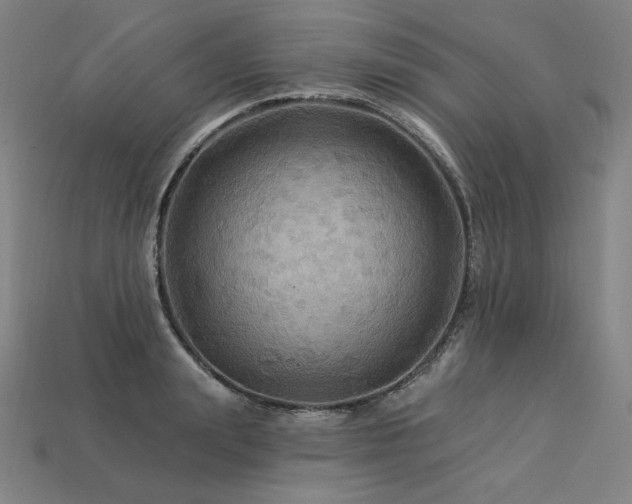 X0000113960847200909251358