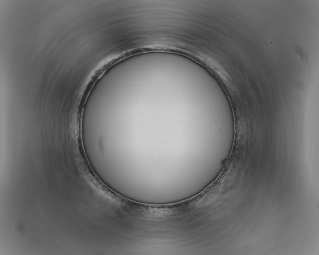 X0000113960848200909251358