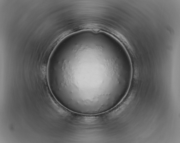 X0000113960849200909251358
