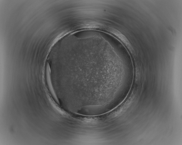 X0000113960850200909251358