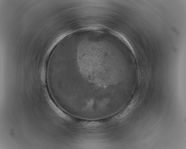 X0000113960851200909251358
