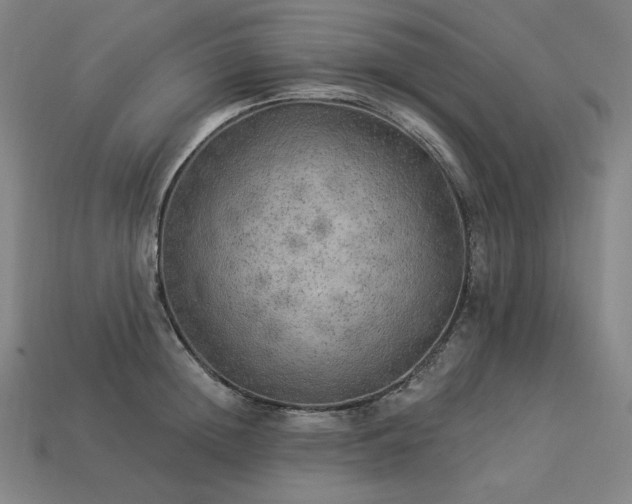 X0000113960852200909251358