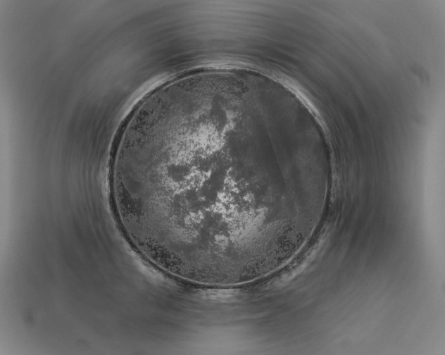 X0000113960853200909251358