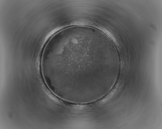 X0000113960854200909251358