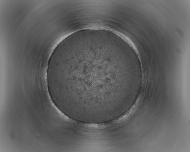 X0000113960855200909251358