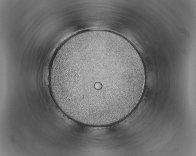 X0000113960856200909251358