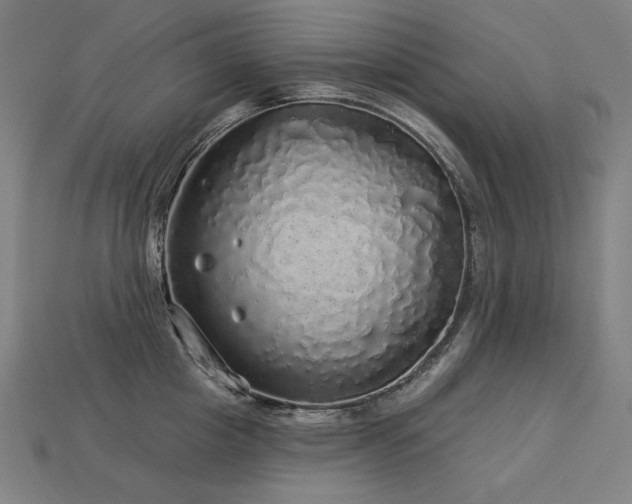 X0000113960857200909251358