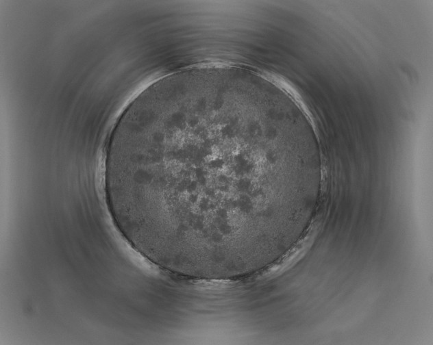 X0000113960859200909251359