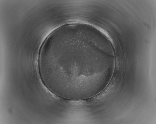 X0000113960863200909251359