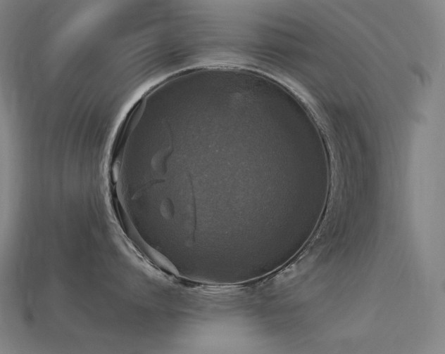 X0000113960864200909251359