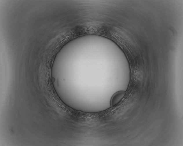 X0000113960865200909251358