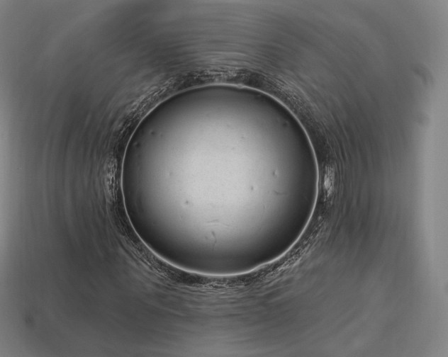 X0000113960867200909251358
