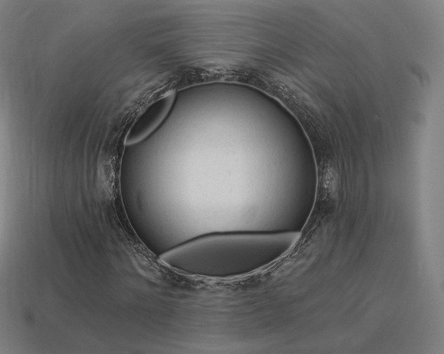 X0000113960868200909251358