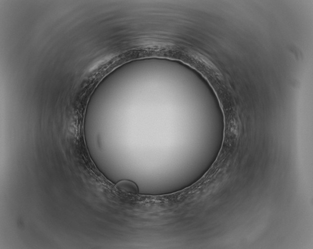 X0000113960869200909251358