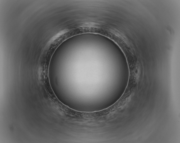 X0000113960870200909251358