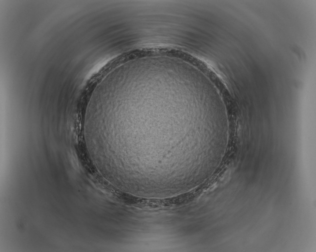 X0000113960871200909251358