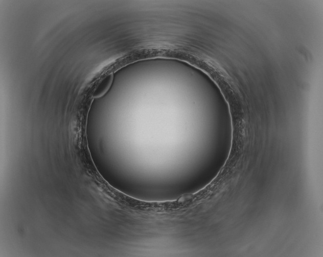 X0000113960872200909251358