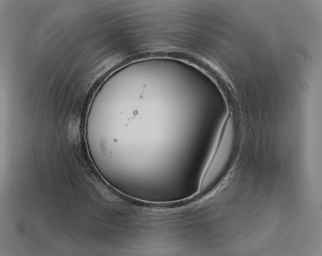 X0000113960873200909251358