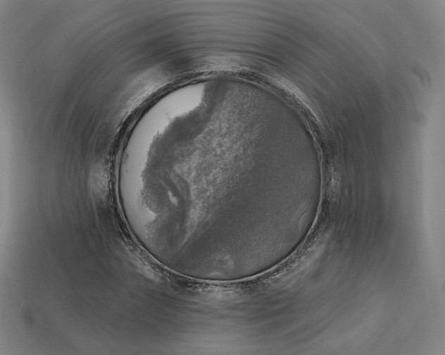 X0000113960874200909251358
