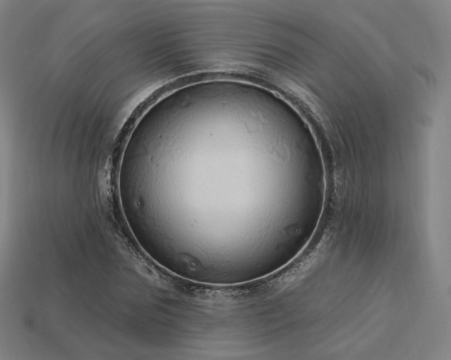 X0000113960875200909251358