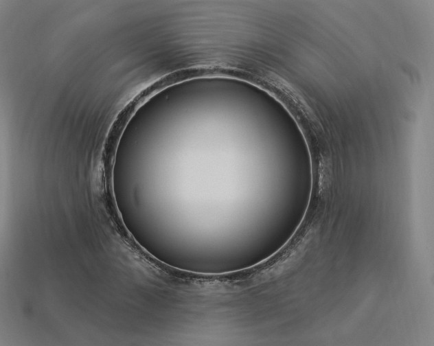 X0000113960876200909251358
