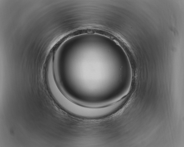X0000113960877200909251358