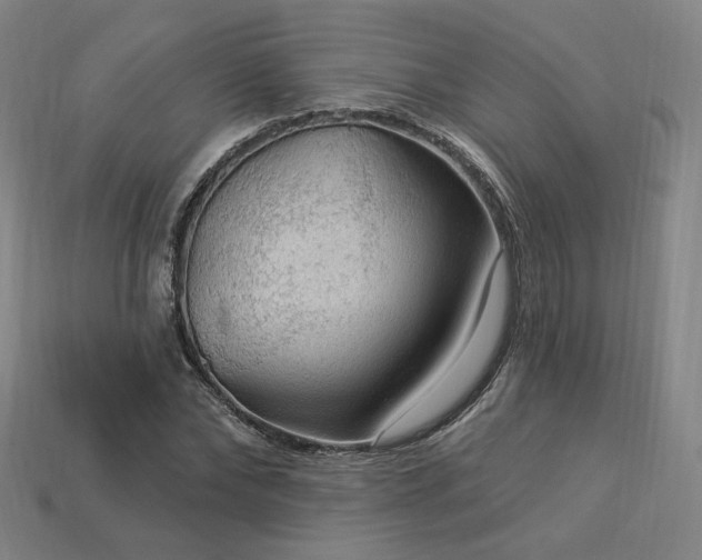 X0000113960878200909251358