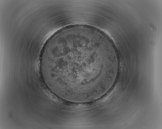 X0000113960879200909251358