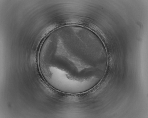 X0000113960882200909251358