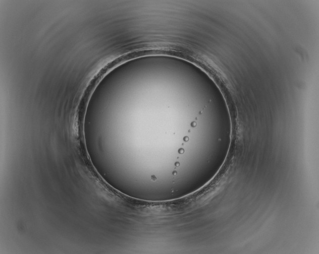 X0000113960883200909251358