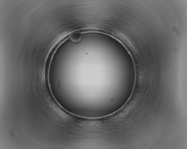 X0000113960884200909251358