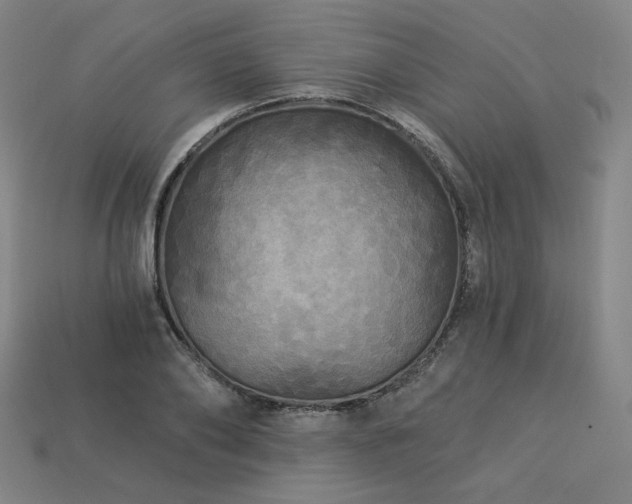 X0000113960886200909251358