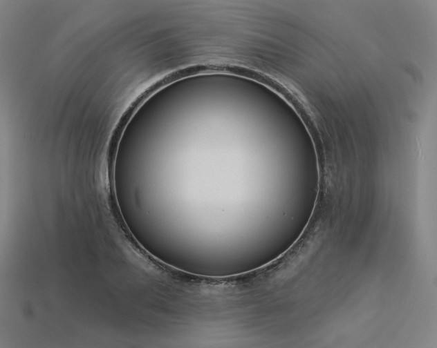 X0000113960887200909251358