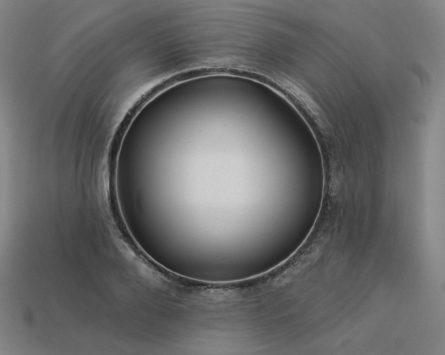 X0000113960888200909251358