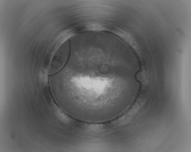 X0000113960889200909251358