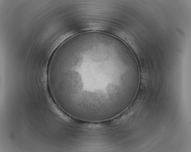 X0000113960890200909251358