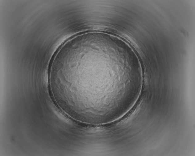 X0000113960891200909251358