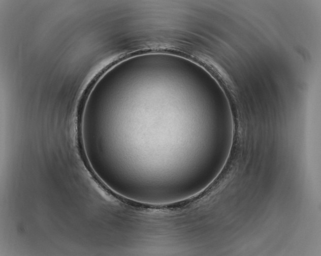 X0000113960894200909251358