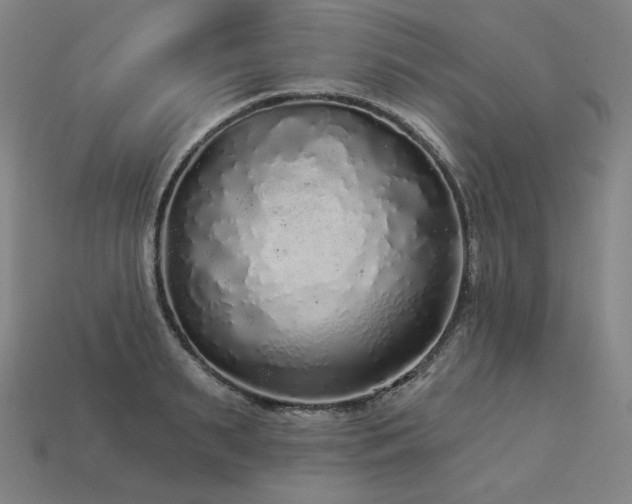 X0000113960895200909251358