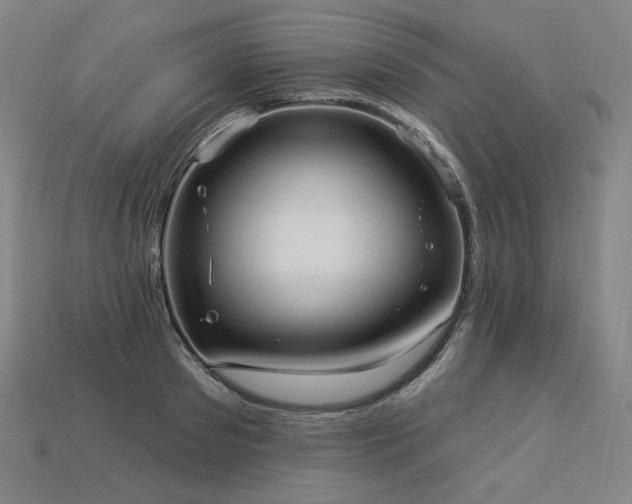 X0000113960897200909251358