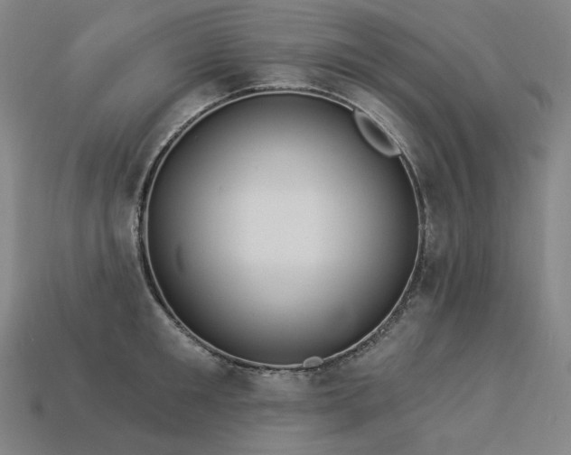 X0000113960901200909251358