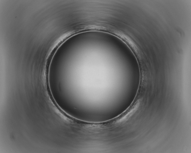 X0000113960902200909251358