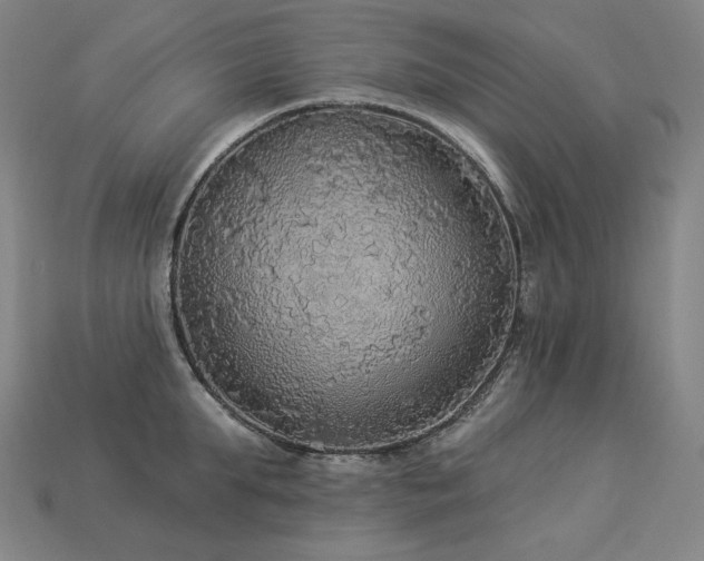 X0000113960903200909251357